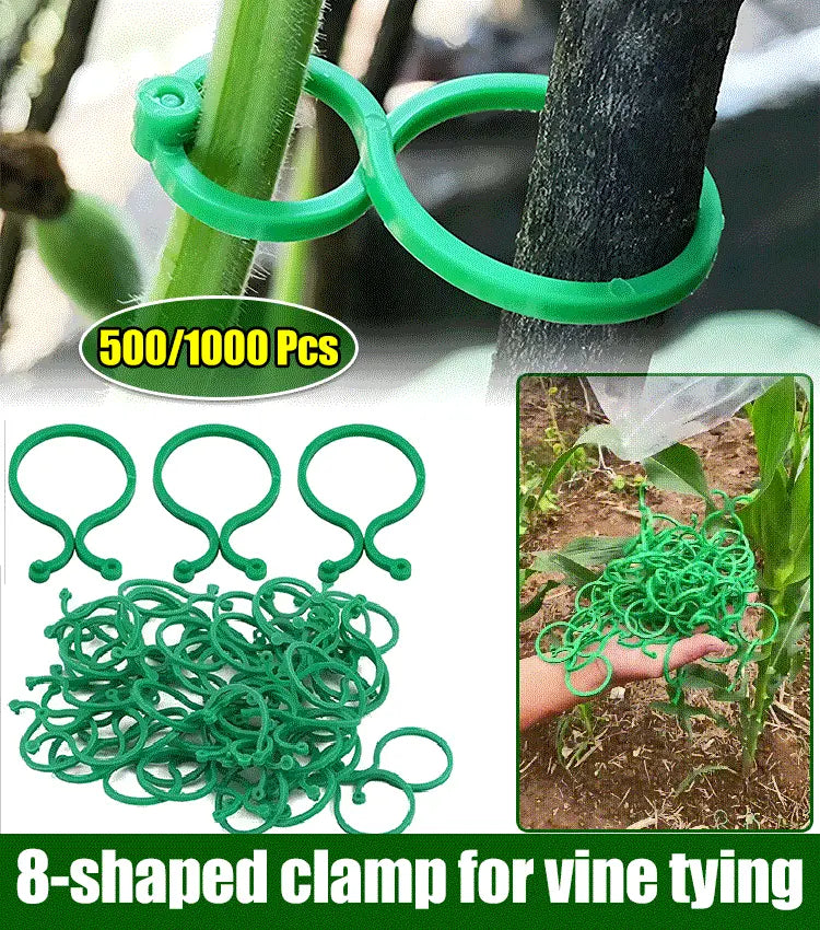 🍇【500 komada】🌱Čvrste stezaljke s kopčom u obliku slova 8, pogodne za penjačice, vrtove/povrtnjake/voćnjake, vezice za vinovu lozu