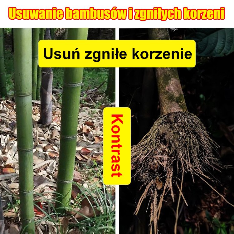 🔥【50% zniżki】👍🌱 Herbicyd cykloheksanonowy
