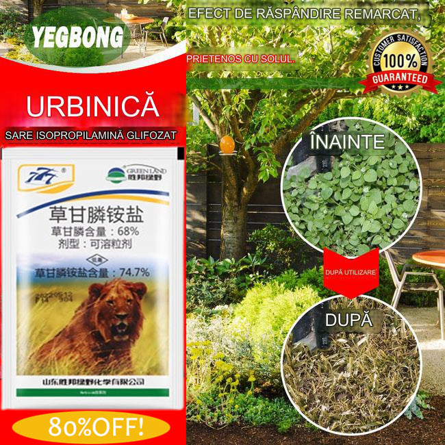 🔥【Kup 6, a 6 otrzymasz gratis】🔥👍🌱【75%OFF!!!】🔥gratisSuchy glifosat fosforanu amonu zabija i zapobiega wszelkim rodzajom chwastów, pnączy i winorośli【Kup 1, a otrzymasz 1 】 -3887798