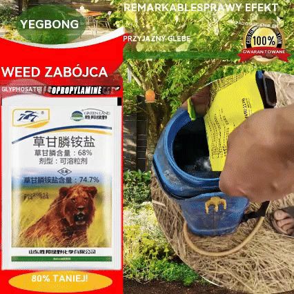 🔥【Kup 6, a 6 otrzymasz gratis】🔥👍🌱【75%OFF！！！】🔥gratisSuchy glifosat fosforanu amonu zabija i zapobiega wszelkim rodzajom chwastów, pnączy i winorośli【Kup 1, a otrzymasz 1 】 -3887798