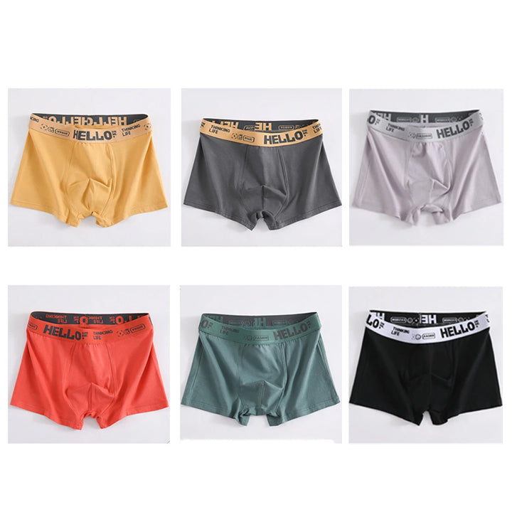 🔥【50% zniżki】💥💥 [L-4XL] Męskie bawełniane bokserki, wygodne i oddychające, o działaniu antybakteryjnym