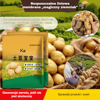 🥔🌱【20 saszetek】Rozpuszczalny nawóz dolistny | Odpowiedni do ziemniaków, orzeszków ziemnych, batatów, rzodkiewki, taro i cebuli — wspomaga wzrost korzeni i zwiększa plony
