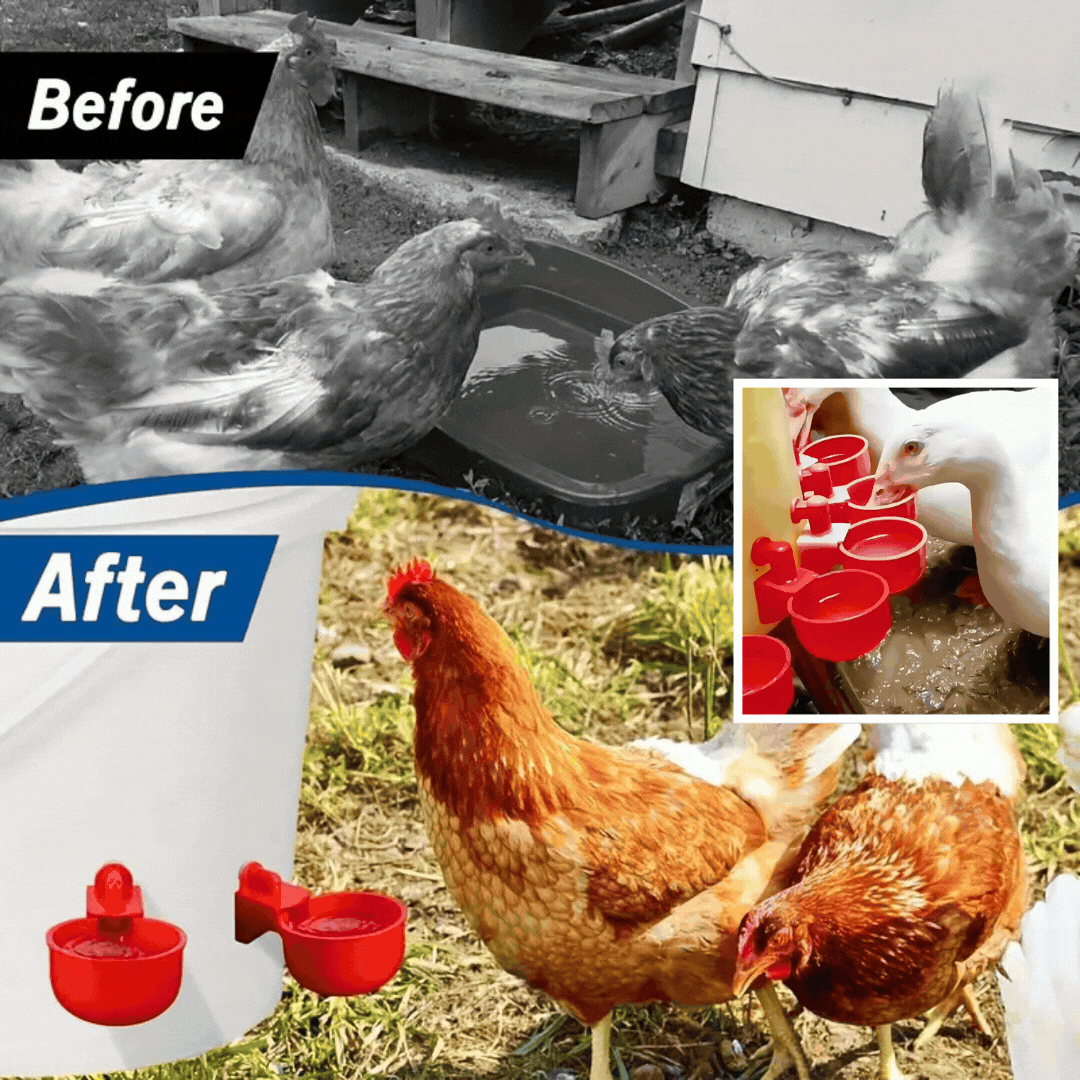 🦆🐔 【Kup 1, otrzymasz 10 gratis】【10 sztuk】Automatyczna miska do pojenia drobiu