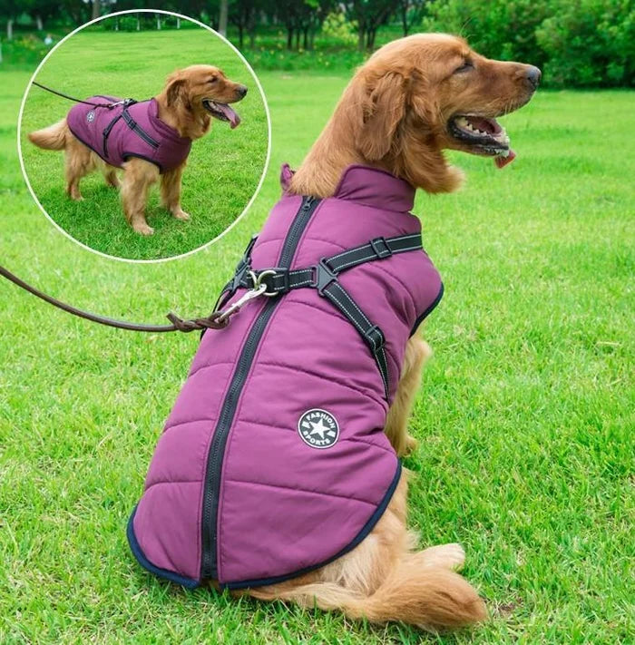 🐱🐶【S-5XL】❄️ Topla podstavljena jakna za pse i mačke — vodoodbojna, s reflektirajućim elementima i ugrađenim pojasom