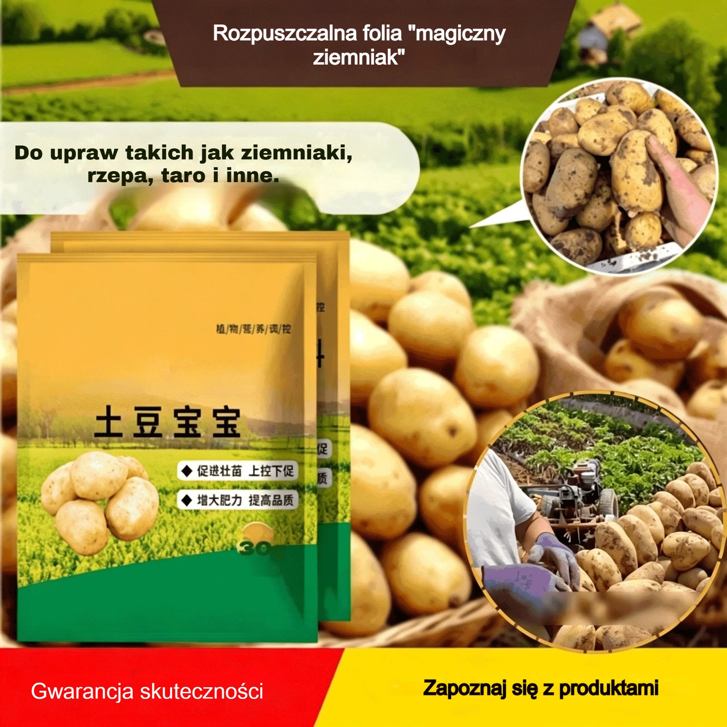 【Łącznie 10 torebek】Rozpuszczalny nawóz dolistny „Magiczny Ziemniak”｜Do ziemniaków, orzeszków ziemnych, batatów, rzodkiewek, taro i cebuli — wspomaga ukorzenianie i zwiększa plony