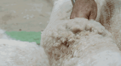 🔥🧣🎩 【Bestseller! ⭐Omezená nabídka 42% sleva】❄️Novinka 2025: Dámská zateplená, teplá a větruodolná 🧣🎩 [módní zimní šála + plyšová čepice]