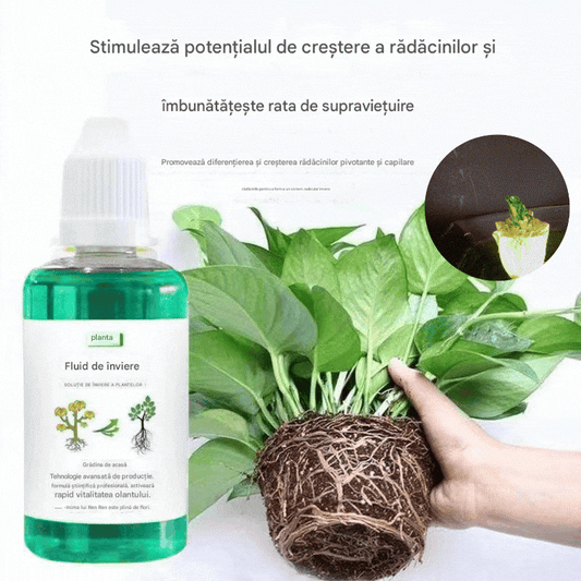 🌱💥Ostatnie 2 dni 30% zniżki【Kup 1, dostaniesz 2】🌱🌱🌱Nawóz wspomagający wzrost roślin.3887525