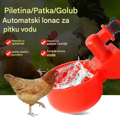 🔥🐔[Pakiranje od 10] Automatske zdjelice za vodu za perad, pojilice za piliće i hranilice za vodu