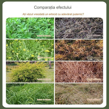 🌿【Kup 1, a 2 dostaniesz gratis】 Wysoce skoncentrowany herbicyd glufosynat amonowy