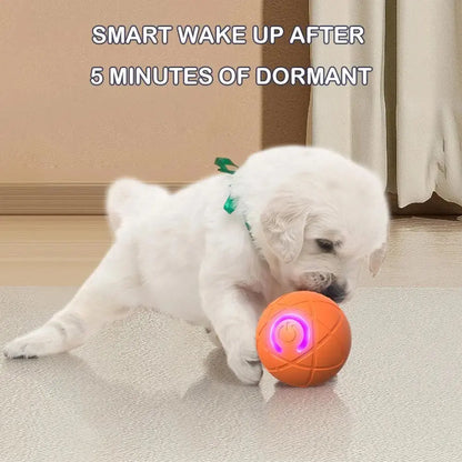 🎁【2 komada】Interaktivna lopta za odskakivanje pametnih kućnih ljubimaca🐶