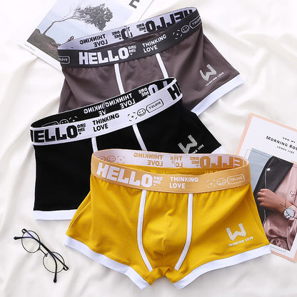 🔥 Oferta specjalna ograniczona czasowo [5 sztuk] Bokserki męskie z czystej bawełny